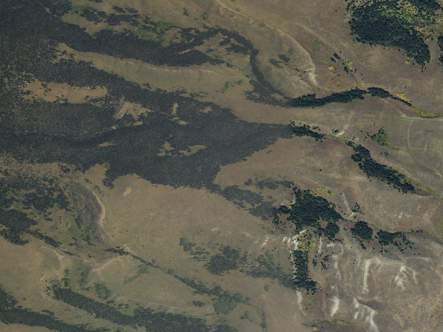 Aerial image of Forest Rd 1215