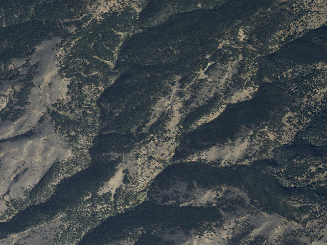 Aerial image of Forest Rd 1217