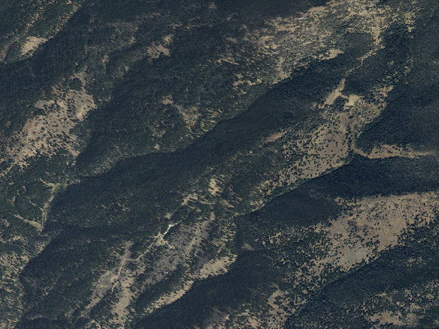 Aerial image of Forest Rd 1217