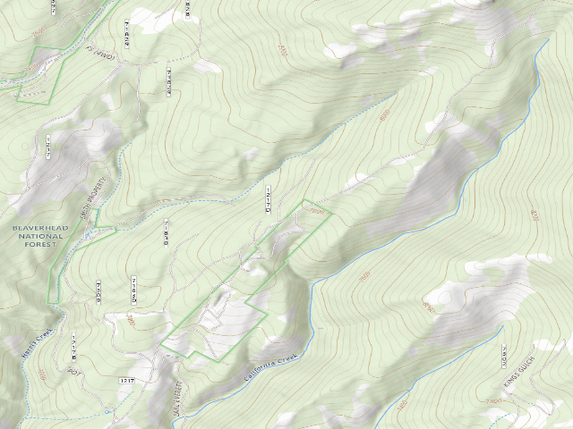 USGS topographic map of Forest Rd 1217