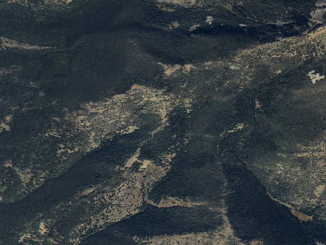 Aerial image of Forest Rd 1217