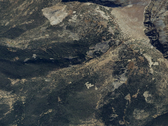 Aerial image of Forest Rd 1217