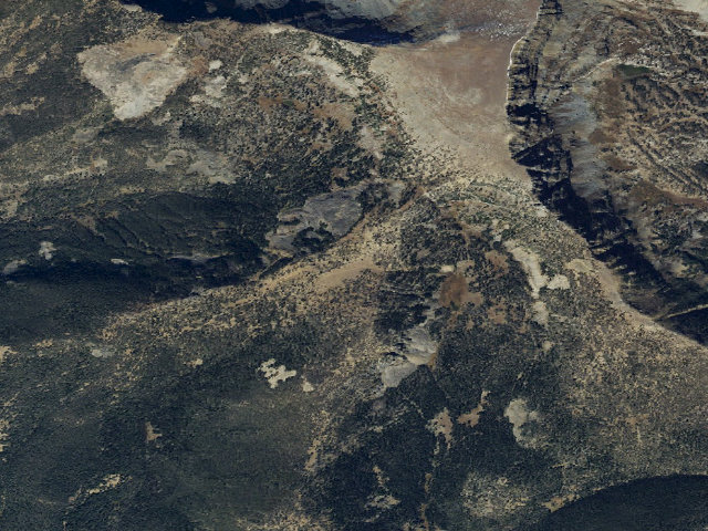Aerial image of Forest Rd 1217