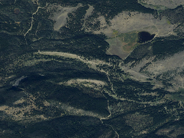 Aerial image of Forest Rd 1221