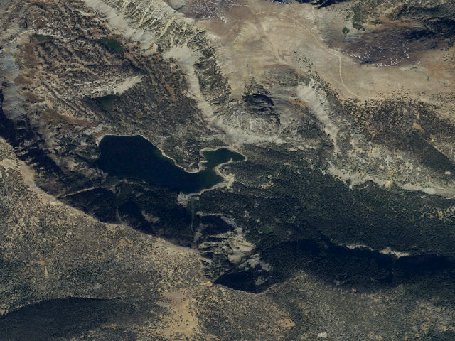 Aerial image of Forest Rd 1221