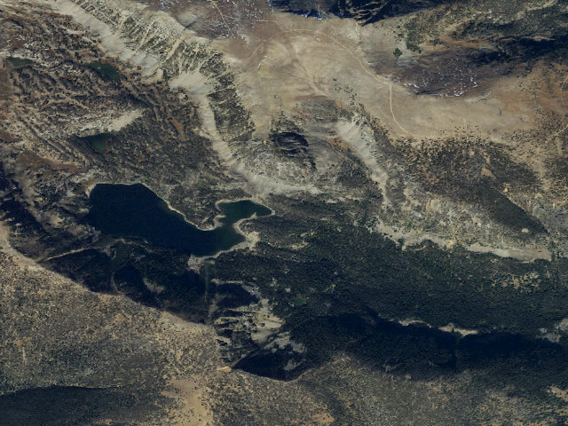 Aerial image of Forest Rd 1221