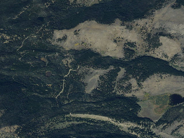 Aerial image of Forest Rd 1224