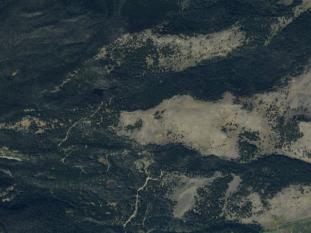Aerial image of Forest Rd 1224