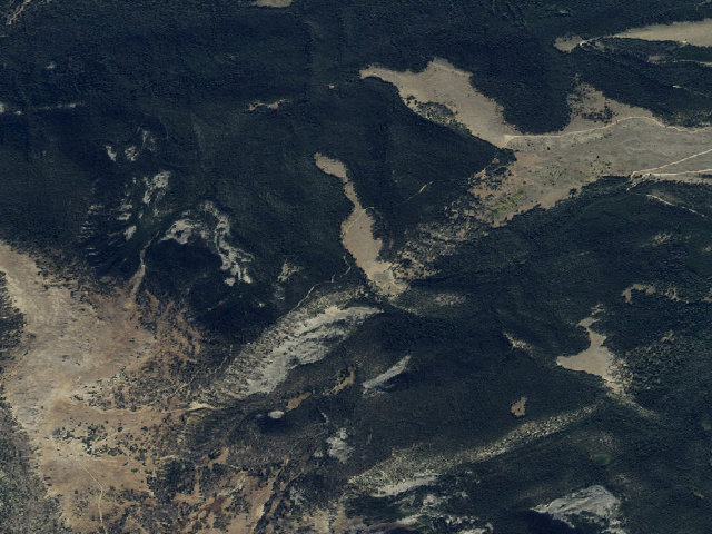 Aerial image of Forest Rd 1225