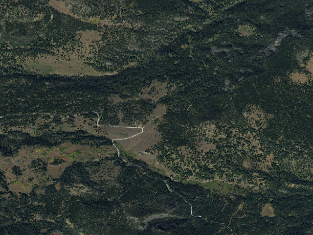 Aerial image of Forest Rd 1239