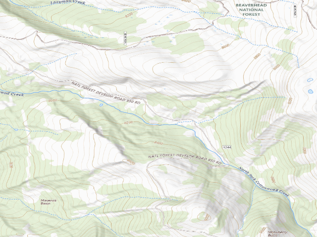 USGS topographic map of Forest Rd 1244