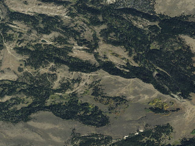 Aerial image of Forest Rd 1244