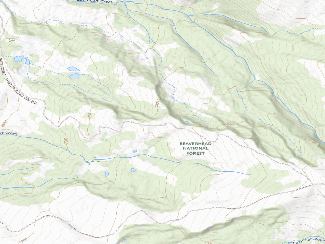 USGS topographic map of Forest Rd 1244