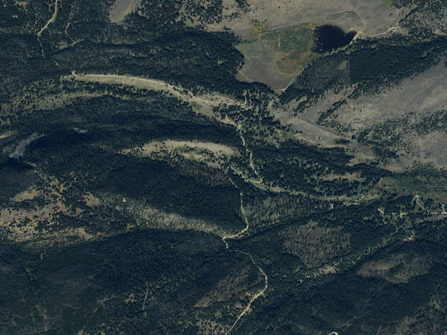 Aerial image of Forest Rd 1249