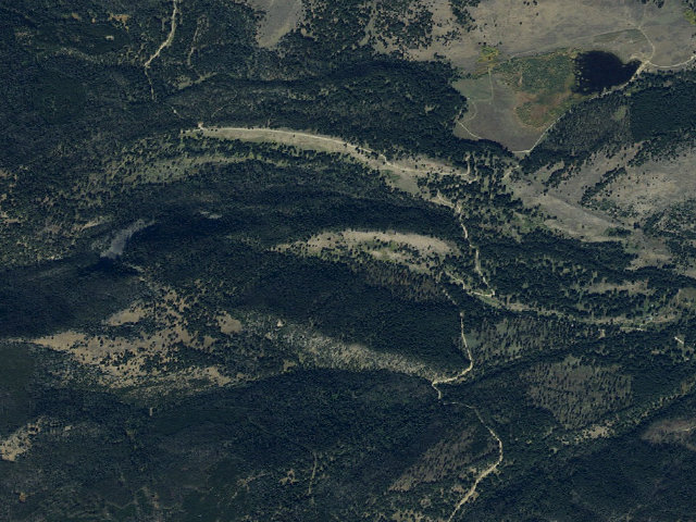 Aerial image of Forest Rd 1249