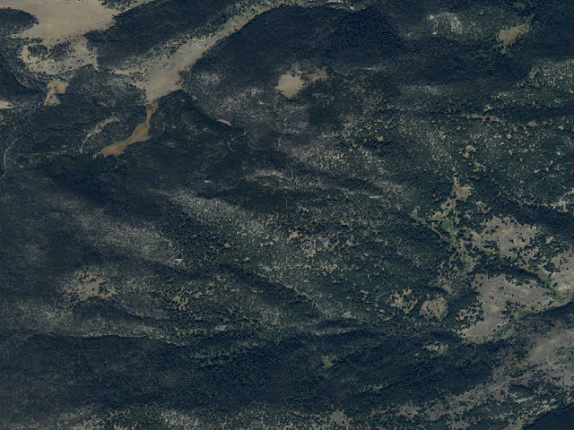 Aerial image of Forest Rd 1252