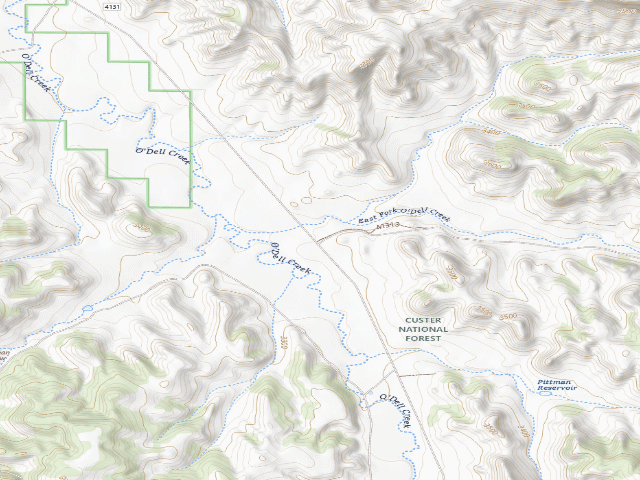 USGS topographic map of Forest Rd 1313A