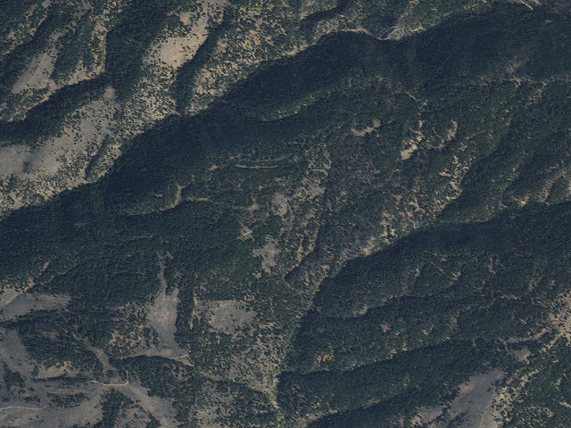 Aerial image of Forest Rd 159