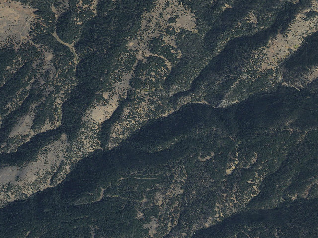Aerial image of Forest Rd 159