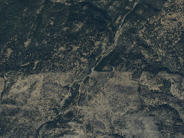 Aerial image of Forest Rd 161