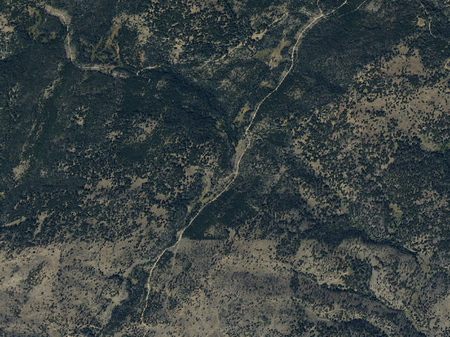 Aerial image of Forest Rd 161