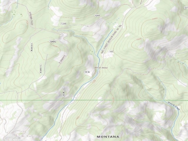 USGS topographic map of Forest Rd 161