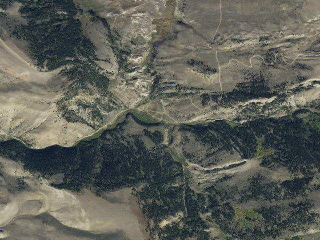 Aerial image of Forest Rd 163