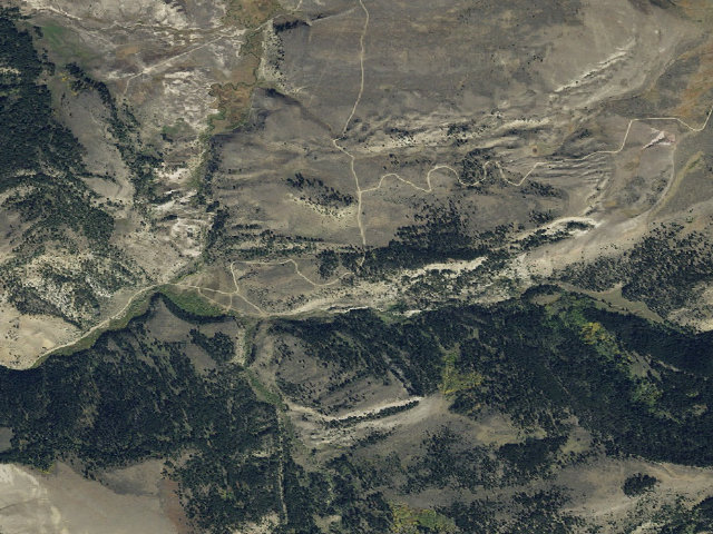 Aerial image of Forest Rd 163