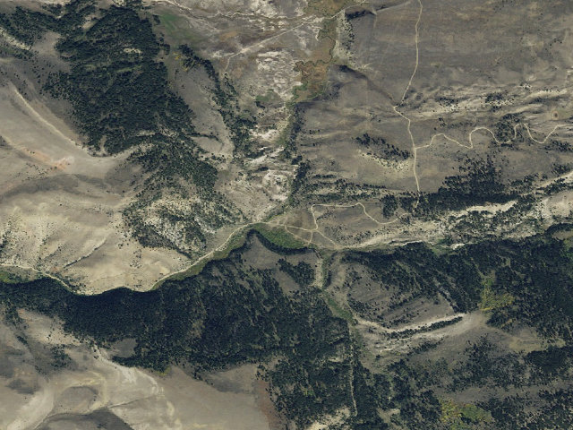 Aerial image of Forest Rd 163