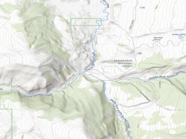 USGS topographic map of Forest Rd 163