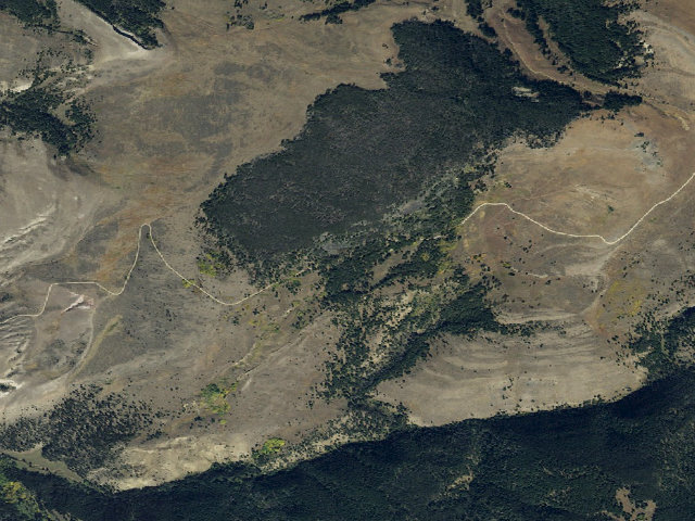 Aerial image of Forest Rd 163