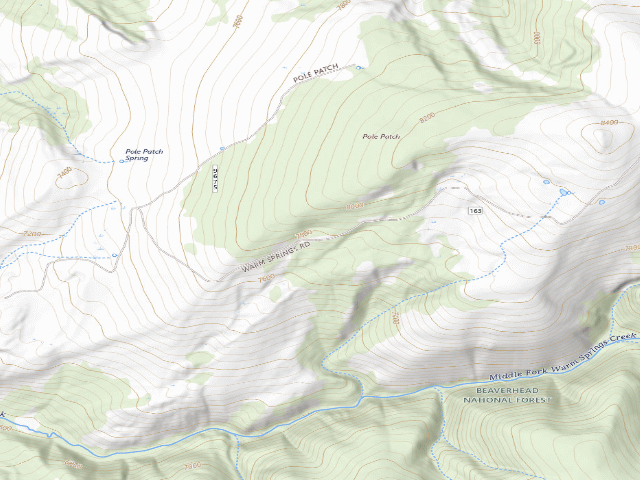 USGS topographic map of Forest Rd 163