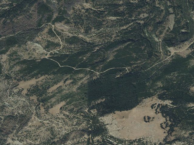 Aerial image of Forest Rd 1706