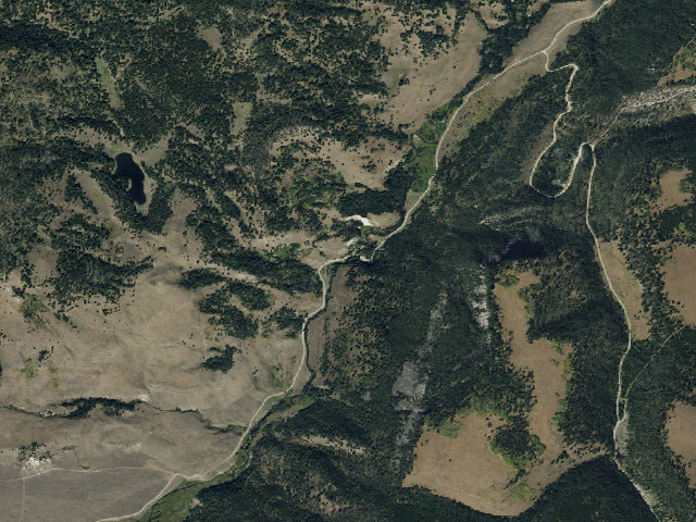 Aerial image of Forest Rd 209