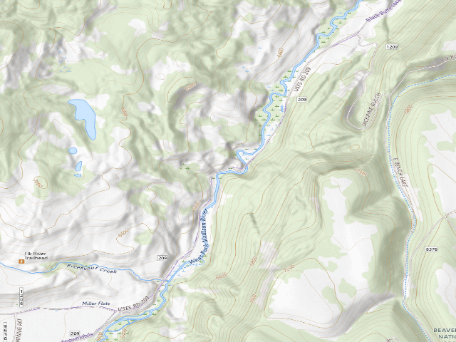 USGS topographic map of Forest Rd 209