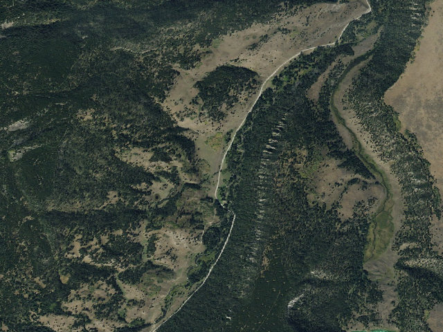 Aerial image of Forest Rd 209