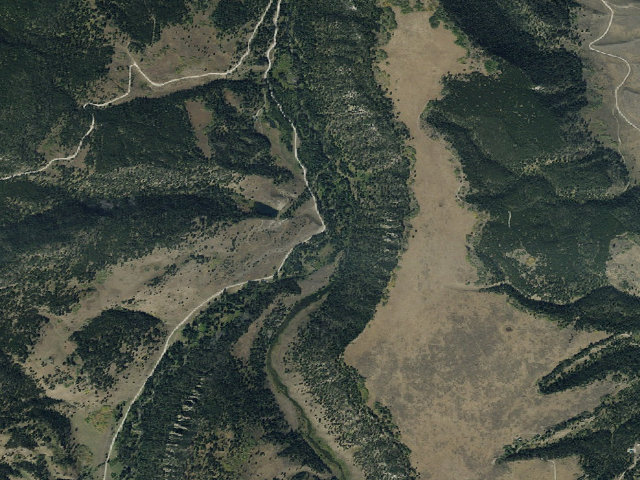 Aerial image of Forest Rd 209