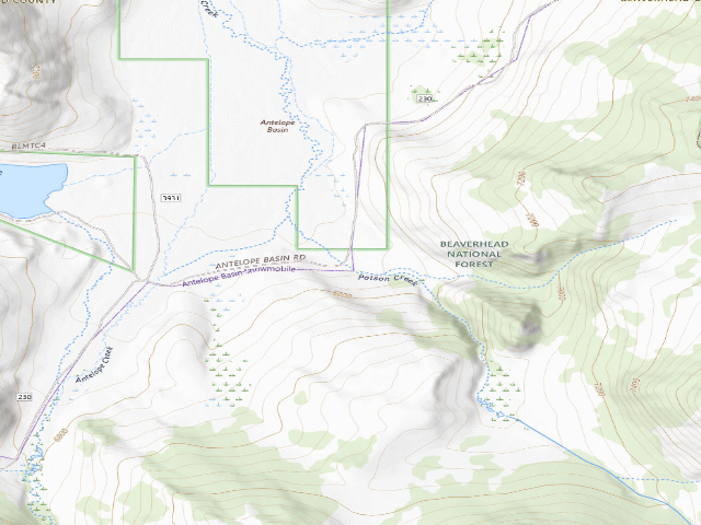 USGS topographic map of Forest Rd 230