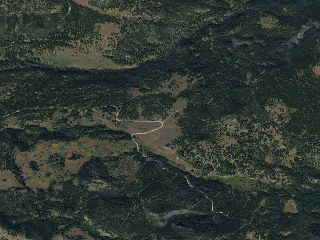 Aerial image of Forest Rd 237