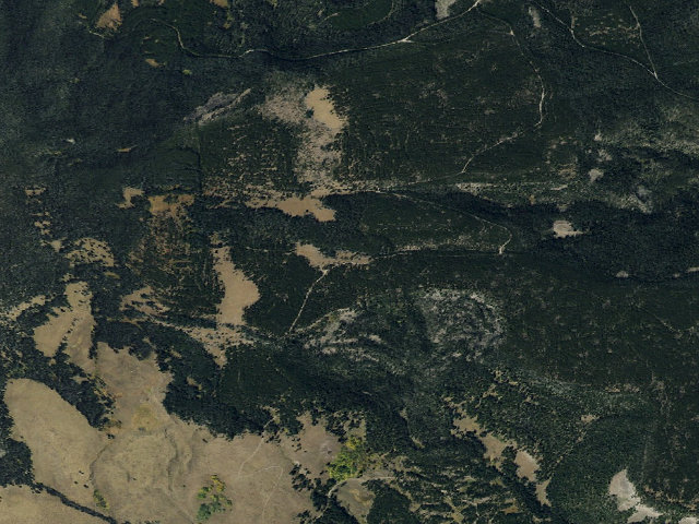 Aerial image of Forest Rd 2462
