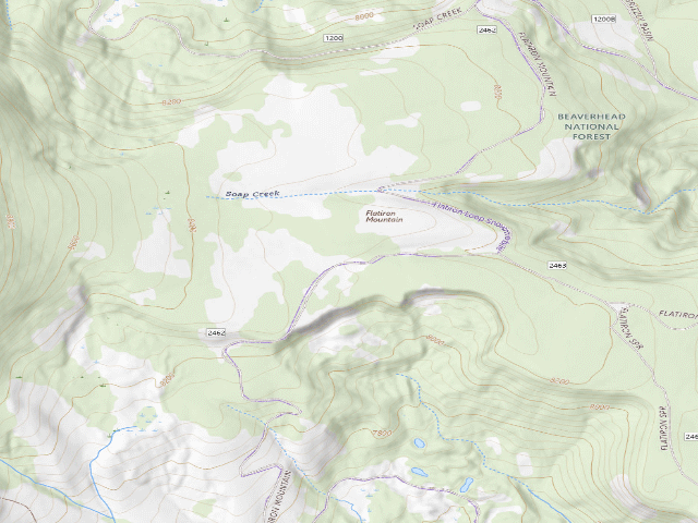 USGS topographic map of Forest Rd 2462