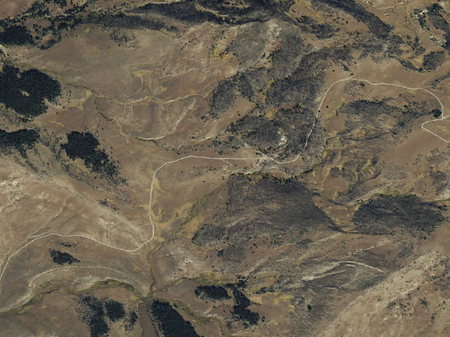 Aerial image of Forest Rd 290