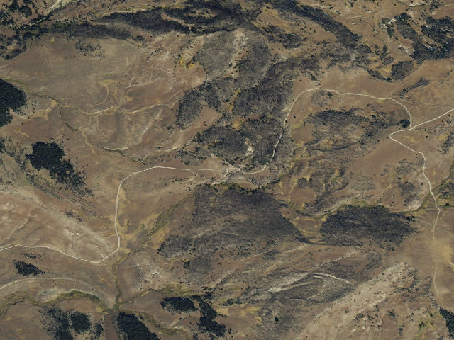 Aerial image of Forest Rd 290