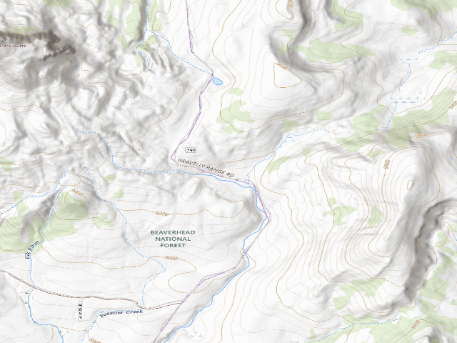 USGS topographic map of Forest Rd 290