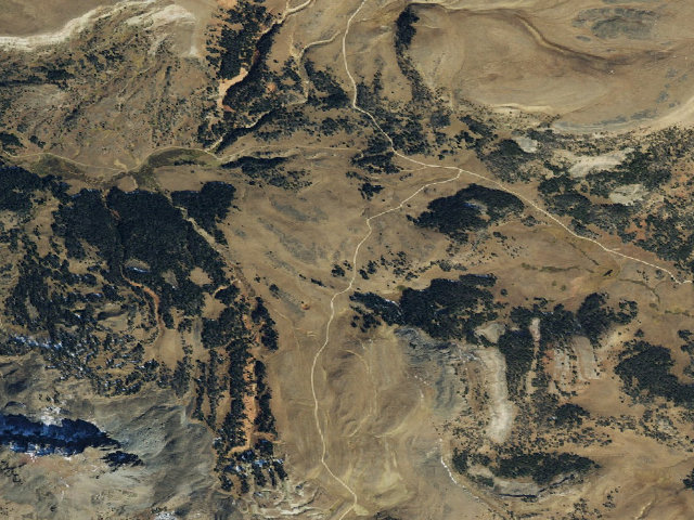 Aerial image of Forest Rd 290