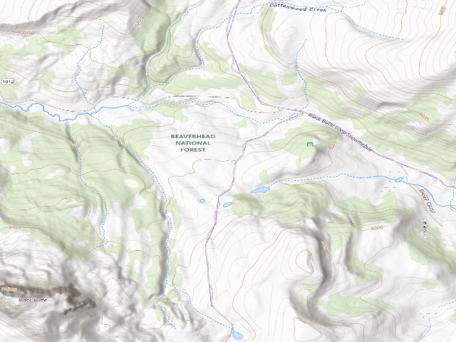 USGS topographic map of Forest Rd 290