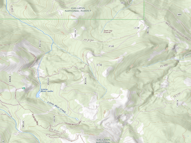 USGS topographic map of Forest Rd 3138