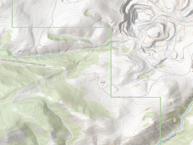 USGS topographic map of Forest Rd 324