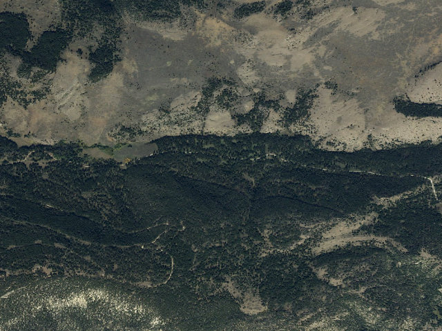 Aerial image of Forest Rd 324
