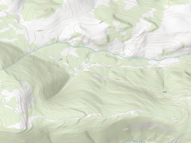 USGS topographic map of Forest Rd 324